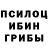 Псилоцибиновые грибы прущие грибы Master Dementer