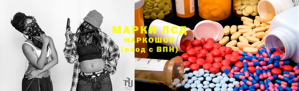 эйфоретик Бородино