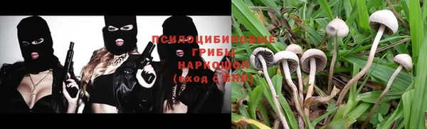 эйфоретик Бородино