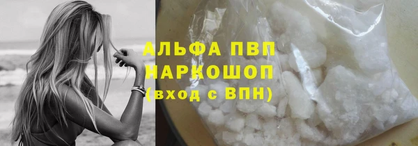 эйфоретик Бородино