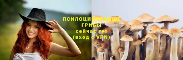 эйфоретик Бородино