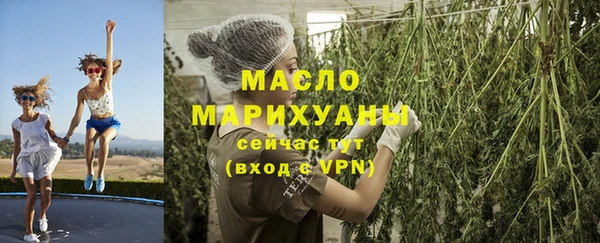 эйфоретик Бородино