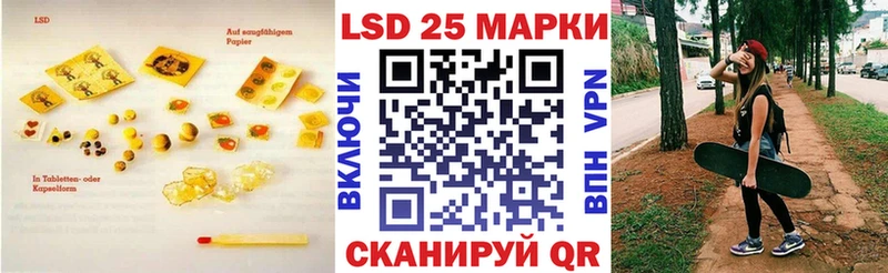 kraken tor  цена   Весьегонск  Лсд 25 экстази кислота 