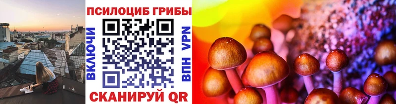 Галлюциногенные грибы MAGIC MUSHROOMS продажа наркотиков Весьегонск